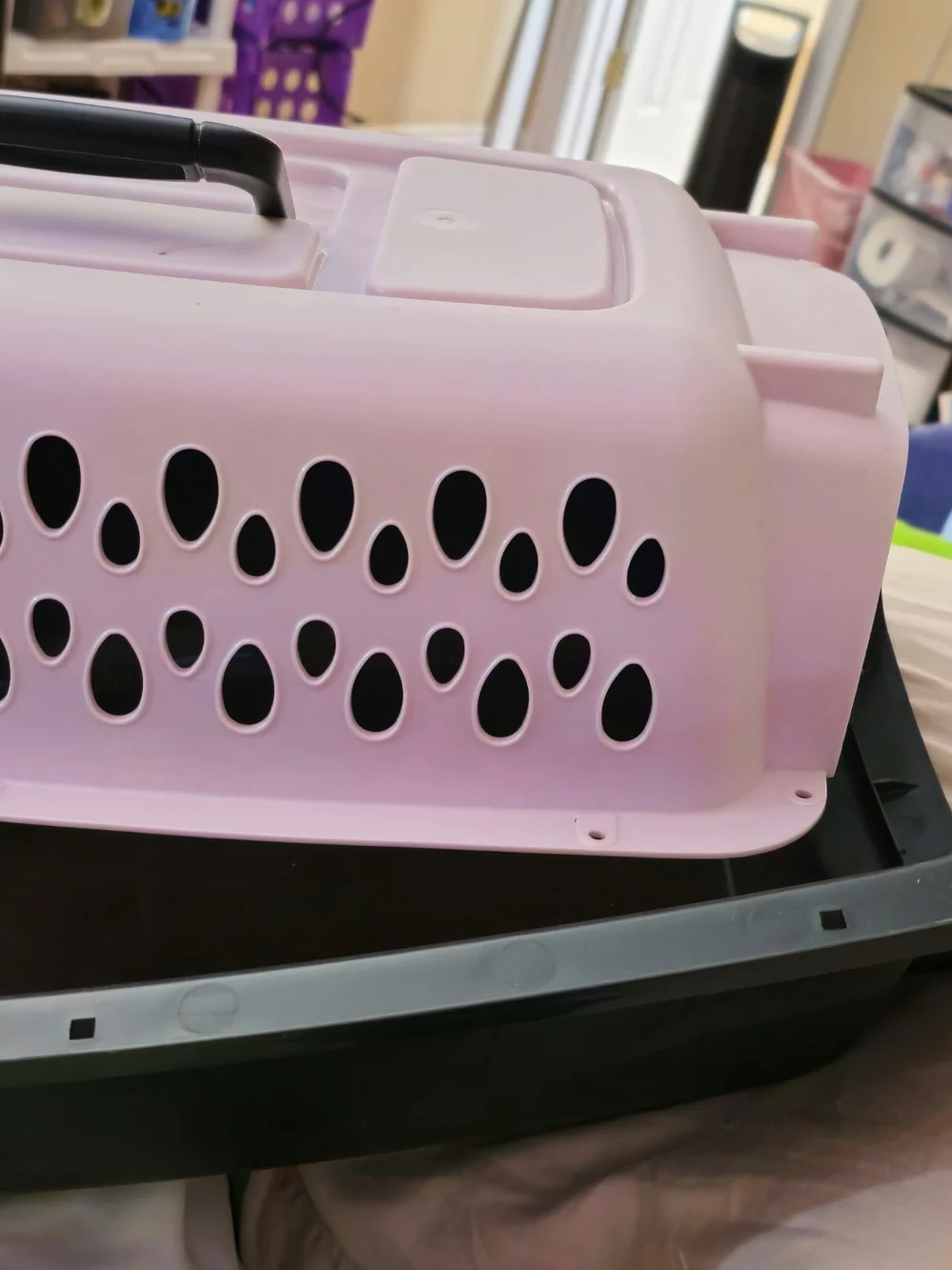 Petmate Fashion Vari Travel Dog Kennel Durable Plastic Pet Carrier, 19